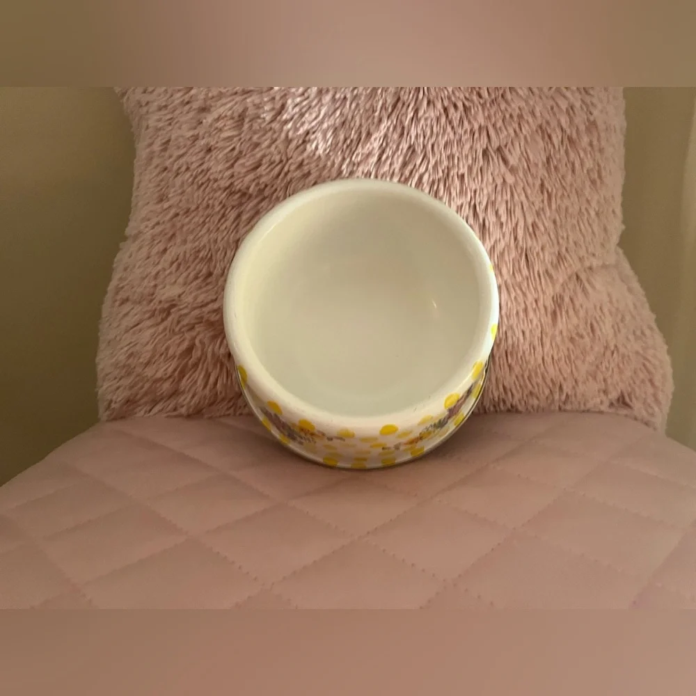 Mackenzie-Child’s Retired Buttercup Medium/Large Pet Bowl💖